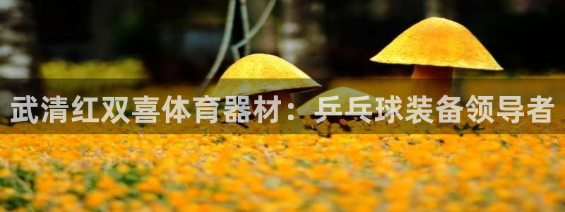 杏宇成语：武清红双喜体育器材：乒乓球装备领导者