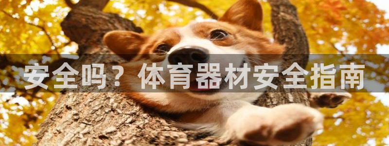 杏宇天下的微信名字好吗：安全吗？体育器材安全指南