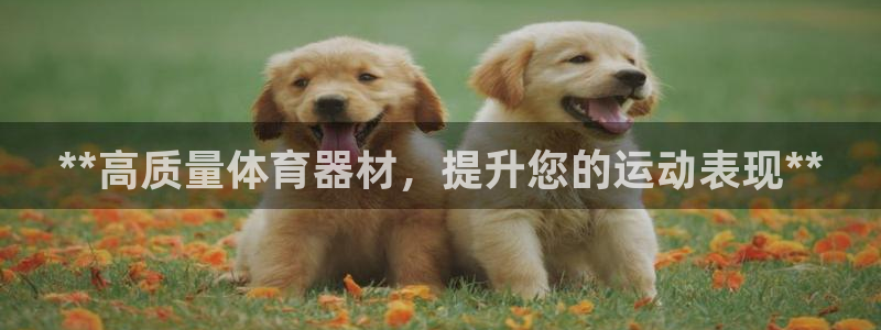 杏宇集团董事长抖音是谁：**高质量体育器材，提升您的