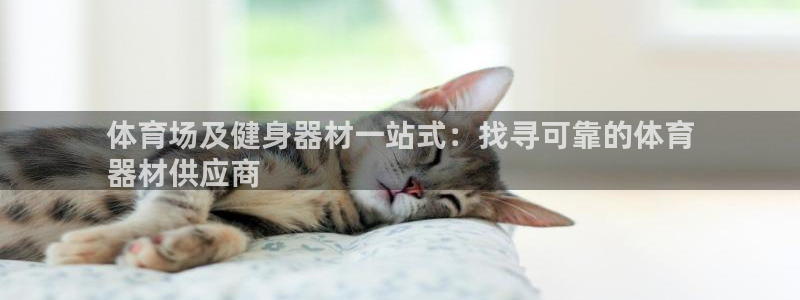 杏宇娱乐登录地址在哪看：体育场及健身器材一站式：找寻