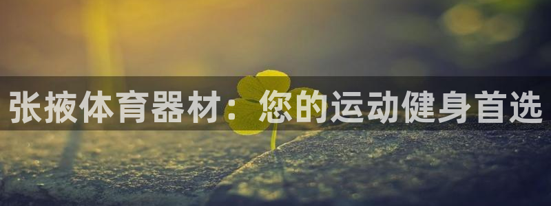 杏宇娱乐提款：张掖体育器材：您的运动健身首选