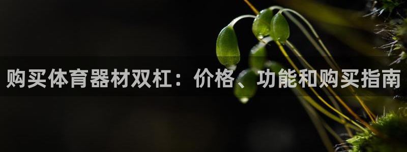 杏宇平台招商：购买体育器材双杠：价格、功能和购买指南
