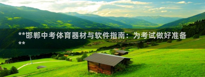 杏宇挑战第三关怎么打：**邯郸中考体育器材与软件指南