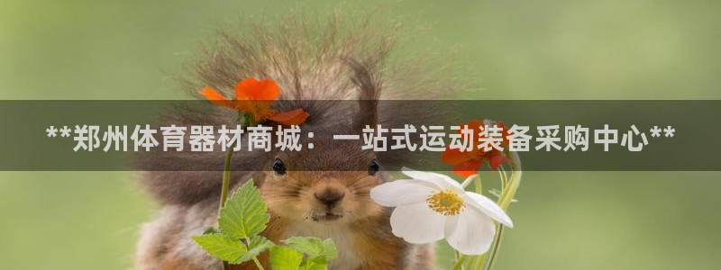 杏宇来袭什么意思：**郑州体育器材商城：一站式运动装