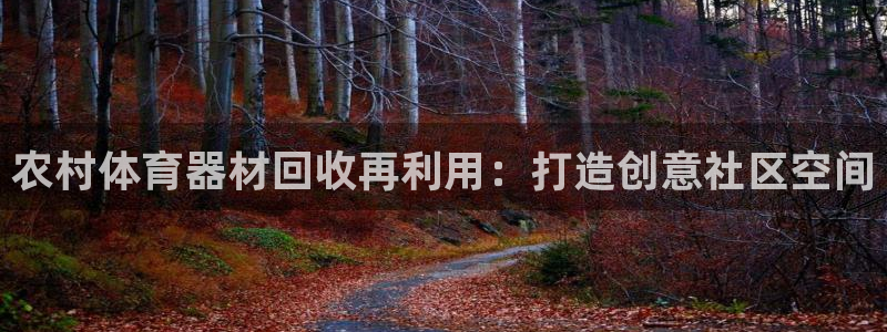 杏宇集团罗文斌：农村体育器材回收再利用：打造创意社区