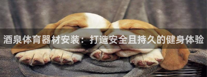 杏宇娱乐能提现吗现在怎么样：酒泉体育器材安装：打造安