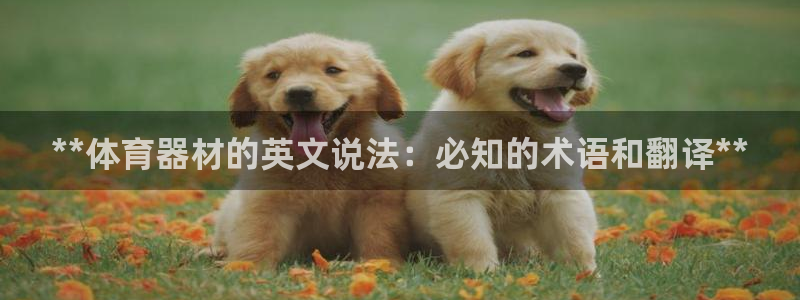 杏宇娱乐能提现吗现在多少钱：**体育器材的英文说法：