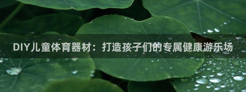 杏宇平台总代理：DIY儿童体育器材：打造孩子们的专属健康游乐
