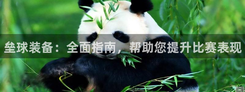 杏宇娱乐提现失败原因：垒球装备：全面指南，帮助您提升