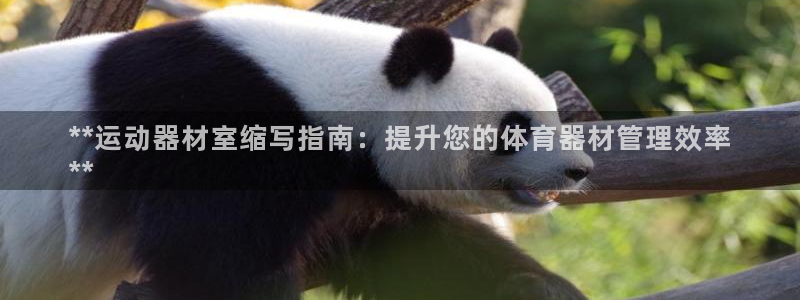 杏宇第二关：**运动器材室缩写指南：提升您的体育器材