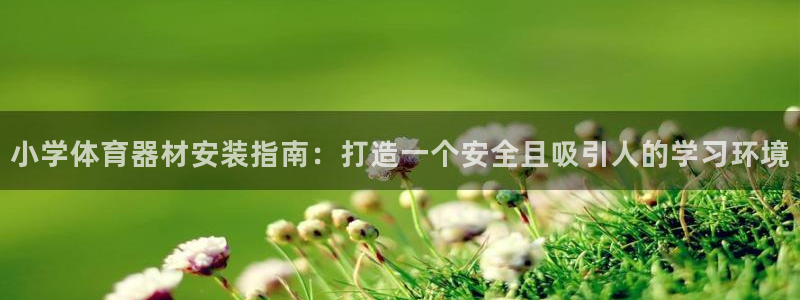 杏宇娱乐登陆地址在哪：小学体育器材安装指南：打造一个