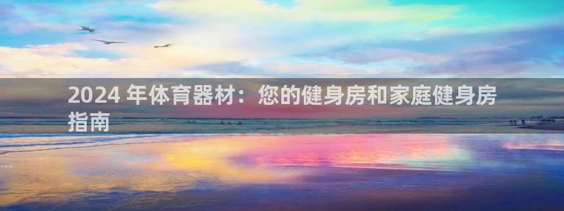 杏宇平台先 585341 杏宇：2024 年体育器材