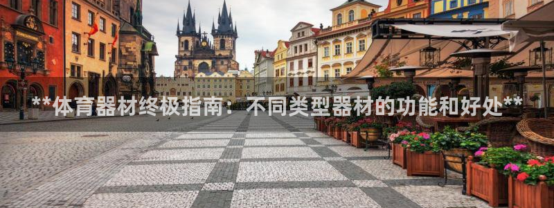 杏宇意思是什么：**体育器材终极指南：不同类型器材的