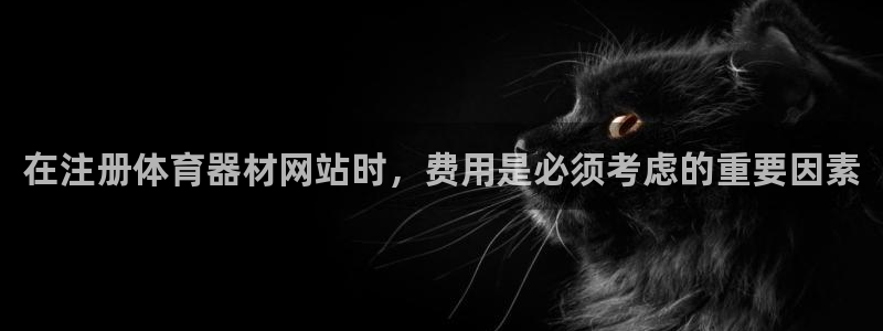 杏宇挑战怎么过：在注册体育器材网站时，费用是必须考虑